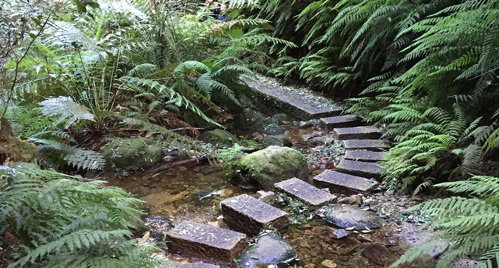 Best Nature Walks NewScape Design best-nature-walks-newscape-design