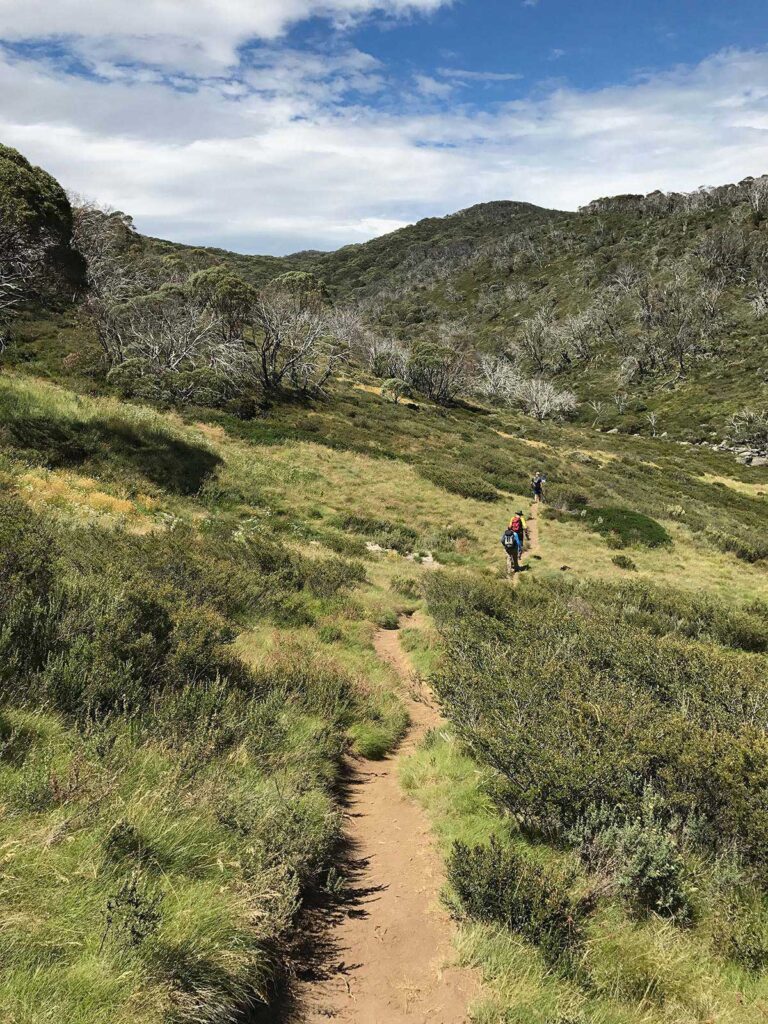 Best Nature Walks NewScape Design